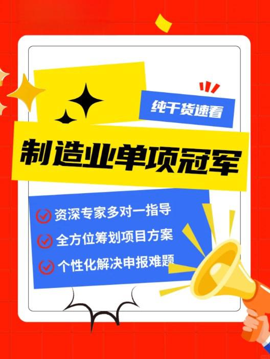 单项冠军申报辅导(单项冠军是什么意思)三亚市