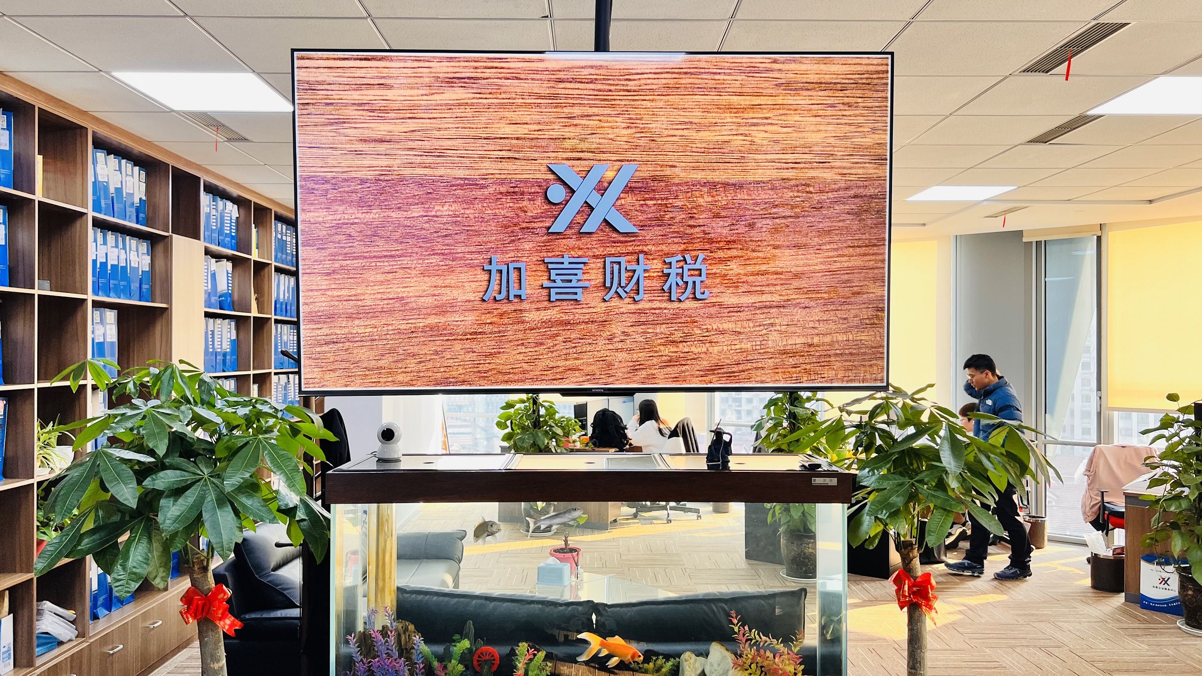 持股平台搭建服务(持股平台搭建服务方案)三亚市