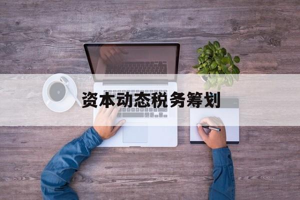 资本动态税务筹划(资本动态税务筹划案例)三亚市