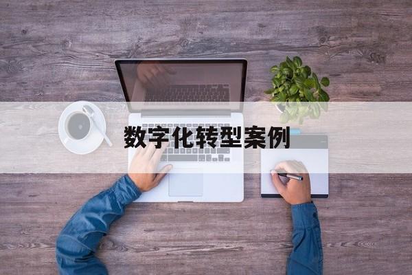 数字化转型案例(数字化转型案例公司)三亚市 数字化转型案例(数字化转型案例公司)三亚市